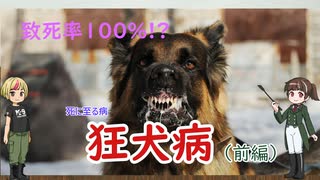 死亡率100%の感染症―狂犬病―（前編）