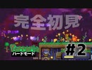 【女性実況】卒論に追われた女子大生たちがハードな世界に逃避する#2【terraria テラリア ハードモード】