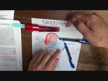 武漢株のワクはデルタにどのように効くか（大阪大学）