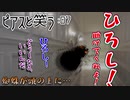 【クトゥルフ神話TRPG】ゆるい高校生と怪しいピアス　Part.7【ピアスと笑う】