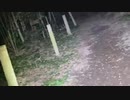 心霊配信　薬師堂