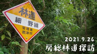 【自転車車載・藪漕ぎ】ふらっとゆるポタ#2　房総林道探訪・細野線侵攻作戦