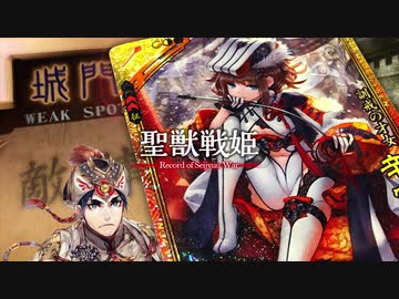 【闘魏覇者】聖獣戦姫914「アメとムチ」【三国志大戦】