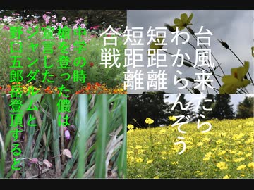 台風来たらわからんぞう　短距離短距離合戦