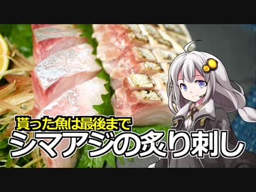 釣れなくても料理！シマアジの炙り刺し！【VOICEROIDキッチン】