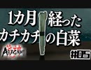 影に忍んで光を切るPart5