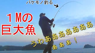 【ぴ】釣りの聖地で１週間ジグを投げ続けた結果　釣り飯　ショアジギング