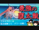 【ポケモンORAS】腹太鼓ファイアローで全てを狩るトリプルバトル【ゆっくり実況】