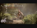 渇望#6【A Plague Tale: Innocence】