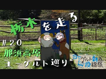 【ヨーグルト動画投稿祭】栃木を走る#20　那須高原ヨーグルト巡り【#毎月6日は六花の日】