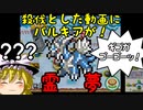 ゆっくり霊夢が征く！DSのNewスーパーマリオブラザーズ Part１０【ゆっくり実況】