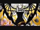鉄仮面をぶったおす！【すばらしきこのせかい】#30