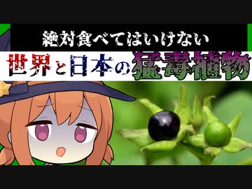 絶対に食べてはいけない世界と日本の猛毒植物【VOICEROID解説】