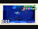 【実況】みんなあつまれ どうぶつの森 #91