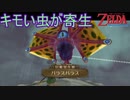 なんかキモい虫みたいなの取りついてるんですけどぉ　ゼルダの伝説スカイウォードソードHD実況プレイPart35