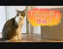 ゴミ箱の開け閉めを覚えた猫に訪れた悲劇
