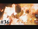 【エイリアン:アイソレーション】共にある明日へ｜#36【実況】