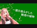 【第二回原石祭非実況】茜ちゃんの植物語り草【チューリップについて】