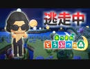 【あつ森】逃走中を森でやってみた お月見編 inずず★島【実況】あつまれどうぶつの森
