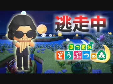 【あつ森】逃走中を森でやってみた お月見編 inずず★島【実況】あつまれどうぶつの森