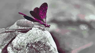 What a beautiful world !!!