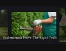 Garden Waste Removal