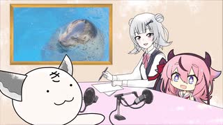 きりたんズのロケっとえんぱし～【７】