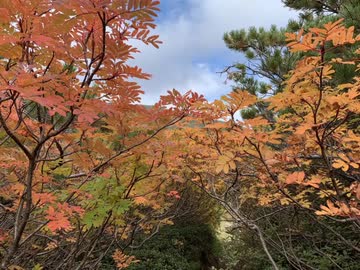 【登山日記4】黒岳・北海岳→富良野岳