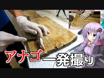 一発撮り『アナゴ』　【VOICEROIDキッチン】