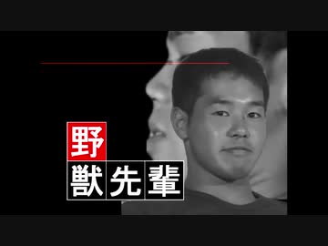 警察だ！！！！！！！！.vr