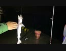 雨降りブッコミ釣りに行ってみた！仕掛けの紹介【長崎県西海町】【秋はる釣り日記】