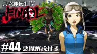 【真・女神転生Ⅳ FINAL】ニッカリさんとマナブの仇討ち Part44【初見実況・悪魔解説付き】