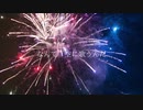 Fire◎Flower (Sparkler Ver.)歌ってみた