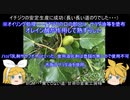 元産直店員の脱サラ農業　第三十六回