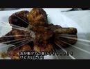 楽しい汚料理.mp1