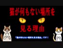 猫が何もない場所を見る理由【フェレンゲルシュターデン現象】