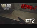 幕間その１~鶏肉を添えて~【バイオ８】#12