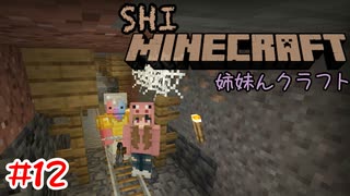【マイクラ】 はい行こう！廃坑【姉妹Minecraft】#12