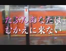 【歌ってみた】たぶんあなたはむかえに来ない／荒井由実(松任谷由実)