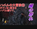 ハベルの大冒険㉞：ダクソⅢ1周目をハベル縛りで。