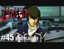 【真・女神転生Ⅳ FINAL】フリンってこんなに饒舌だった？ Part45【初見実況・悪魔解説付き】