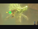 依頼を受けて、ドラゴンの上で転がリンクしてみた