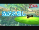 森が水浸しなんですけどぉ！　ゼルダの伝説スカイウォードソードHD実況プレイPart36