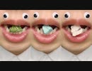 【ASMR】石チョコ【モッパン】