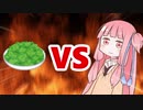 茜ちゃんVSパクチー