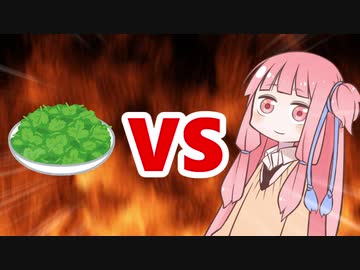 茜ちゃんVSパクチー