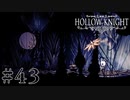 虫嫌いが行く昆虫王国冒険譚 #43【Hollow Knight】