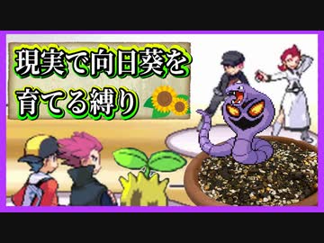 【実況】ヒマナッツが瀕死になったら「現実でひまわりを育てる」縛り（Part⑬）
