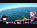 琴葉姉妹と行く釣行記録（海釣り編part16）