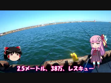 琴葉姉妹と行く釣行記録（海釣り編part16）